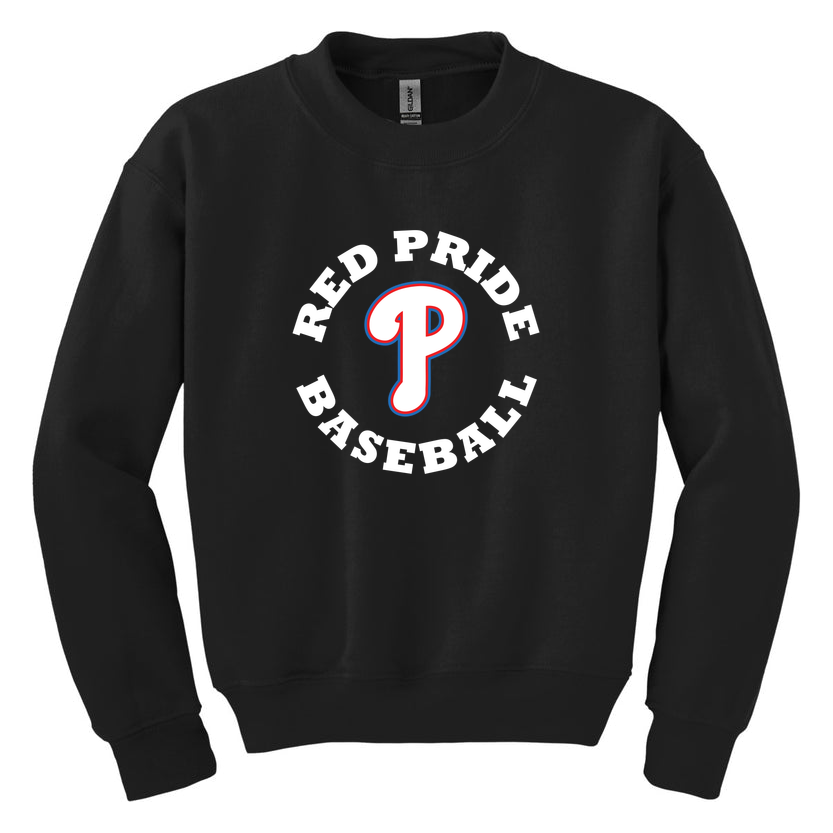 Plainfield Baseball Circle Spell Out Youth Crew Neck Fleece product